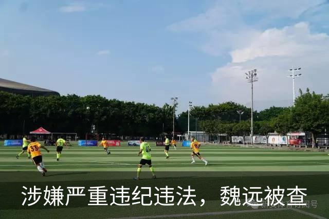 涉嫌严重违纪违法，魏远被查